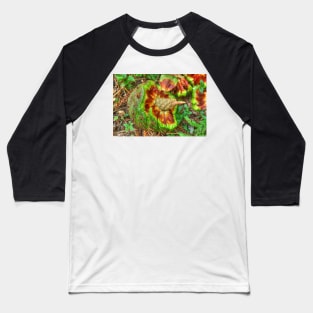 Hoop Pine Fruit Patterns Baseball T-Shirt